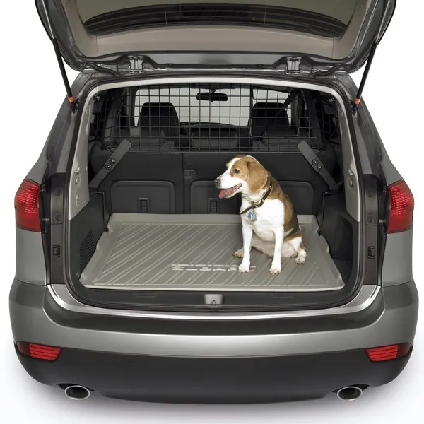 Subaru Tribeca cargo area